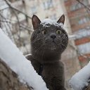  Aleksandr, -, 62  -  27  2019    ,   