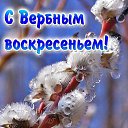  ,  -  23  2019    
