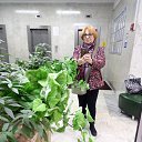 ���� �������, ������, 71 ��� - ��������� 10 ������ 2019 � ������ ���� ����������