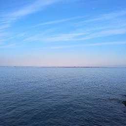 ���� �����, ����, 36 ��� - ��������� 12 ������ 2019