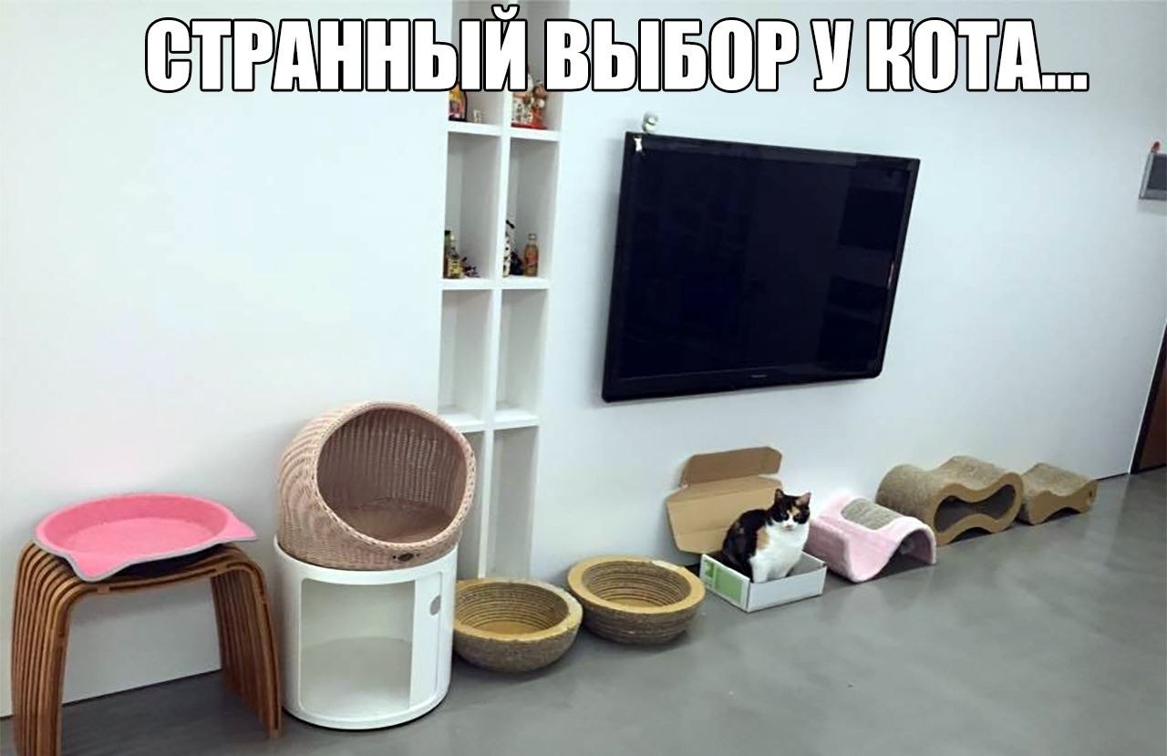    :D - 12  2019  01:54