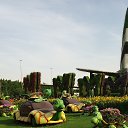 ���� �������, ��������� - ��������� 27 ������� 2019 � ������ ����� ������ ����ɻ