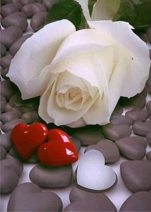 ♥♥ - 5  2019  15:23