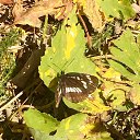 ���� �����, ������ - ��������� 15 ������� 2019 � ������ ������ ��������