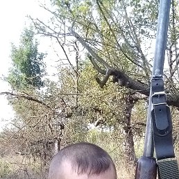 �������, ���������, 43 ����