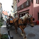 ���� ���������, �����������, 65 ��� - ��������� 21 ������� 2019 � ������ ���� ����������