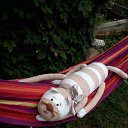 ���� ������� *****, �������, 46 ��� - ��������� 12 ���� 2019 � ������ ���� ����������