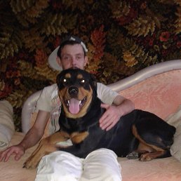 Vit, ������