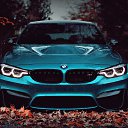 ���� �����, �������� - ��������� 11 �������� 2019 � ������ ���� ����������