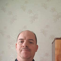 , , 50 