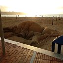  , , 55  -  29  2019   Gran Canaria