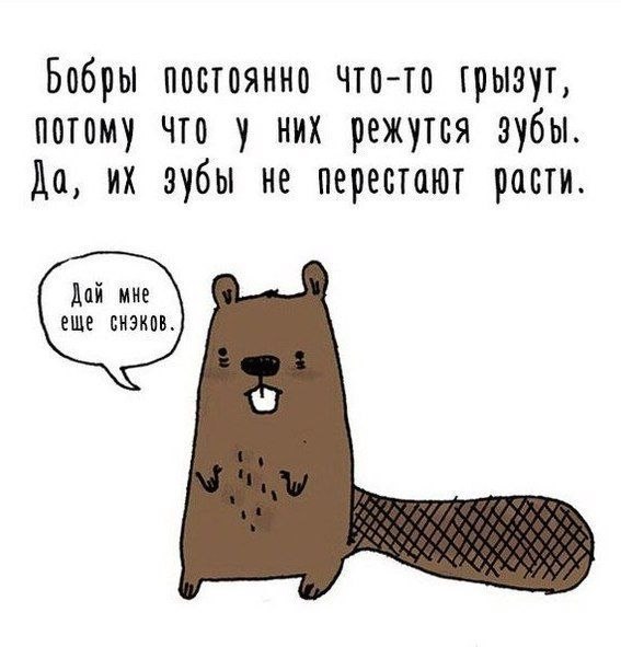    ... - 9