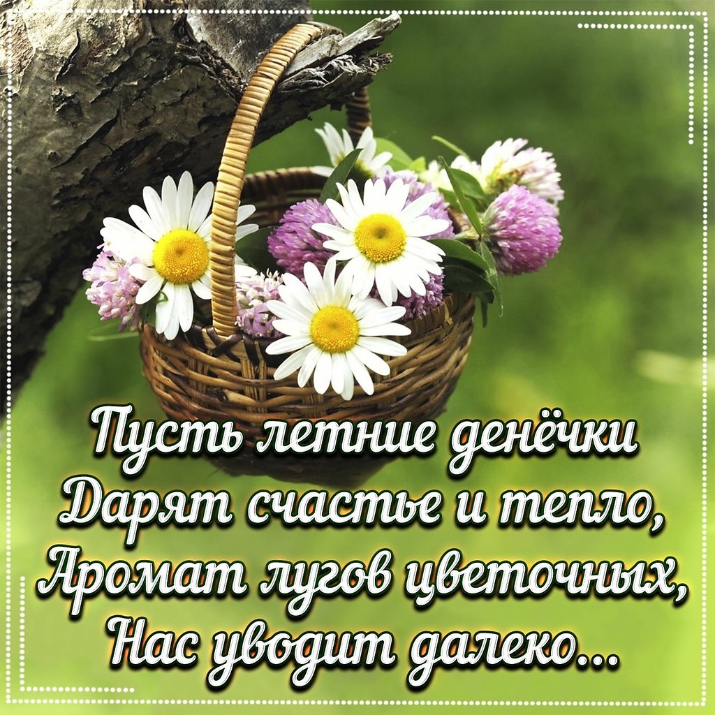   ,    . - 25  2019  13:58