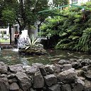  A-nn-i, , 49  -  19  2019    