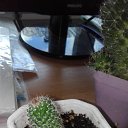 ���� ������ �������������, ������, 53 ���� - ��������� 17 ���� 2019 � ������ �������