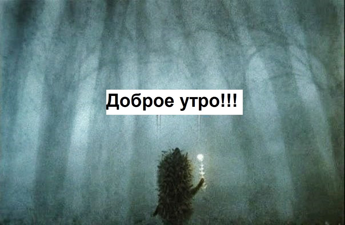 " ") - 6  2019  05:22