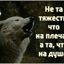  , -, 41  -  26  2019