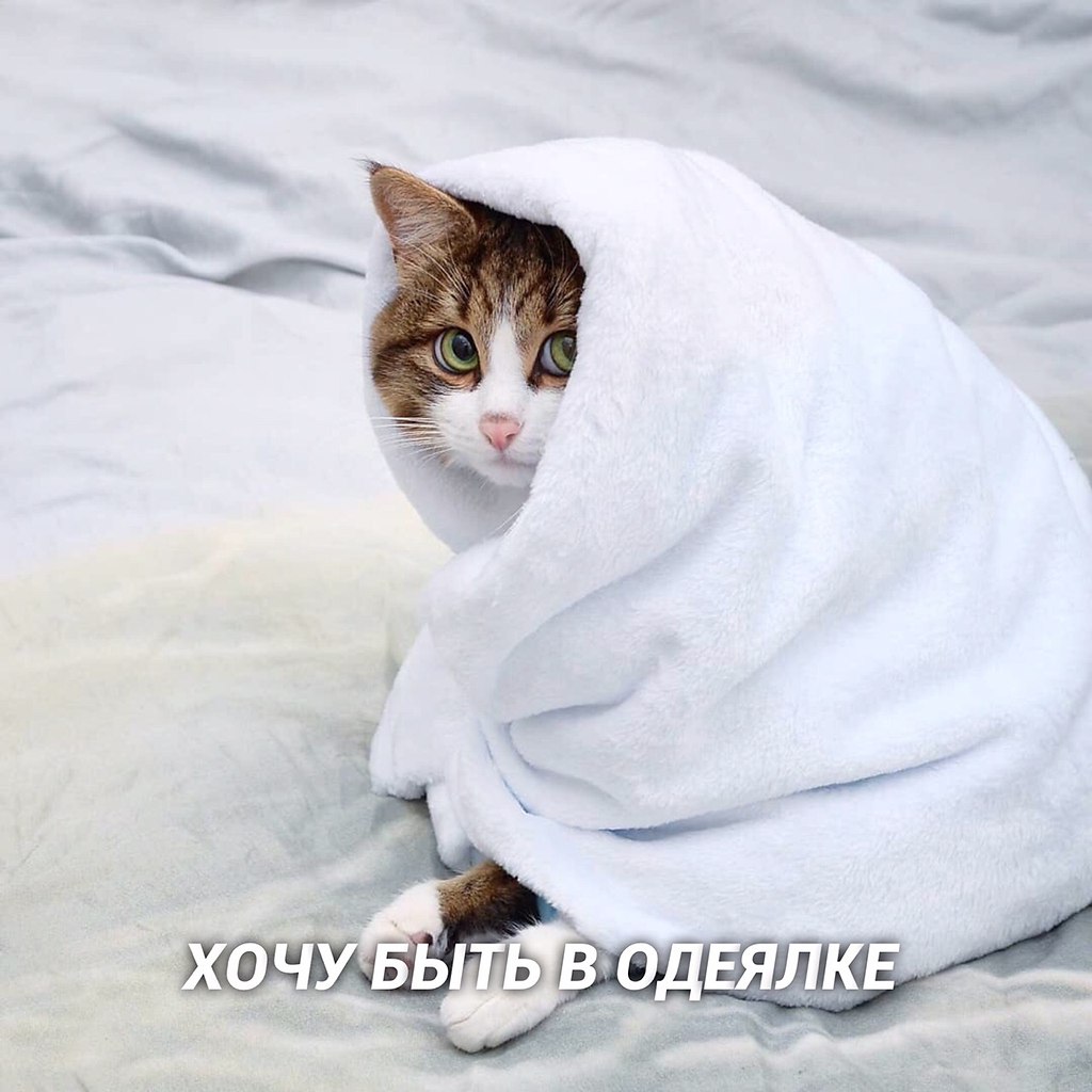      - 2