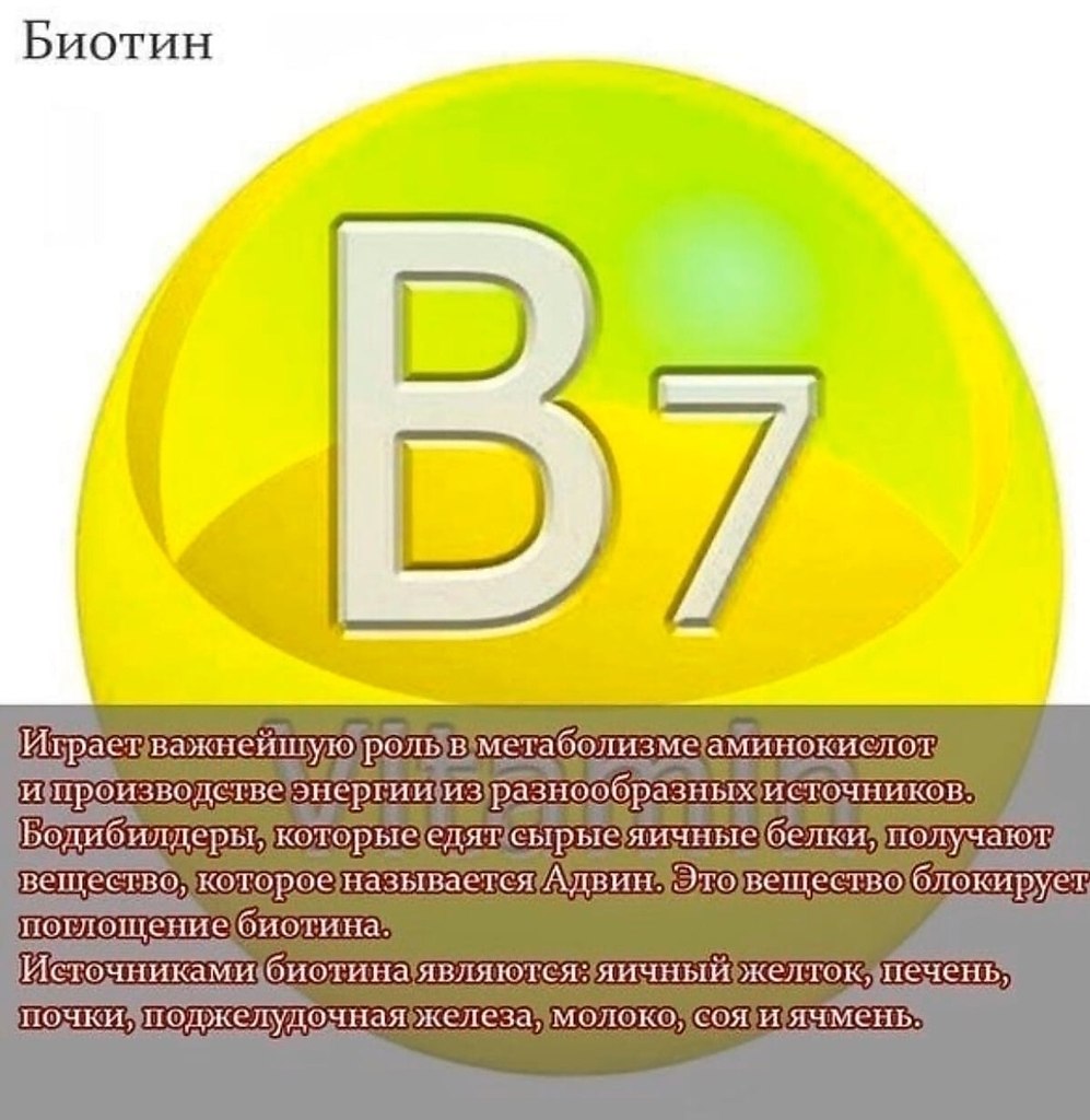   .      ? - 5
