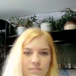 ���������, ������, 26 ���