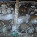 ���� Aleksandr, �����, 35 ��� - ��������� 21 ������� 2019 � ������ ���� ����������