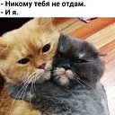 ���� �������, ������ - ��������� 23 ������� 2019 � ������ ������ ��������