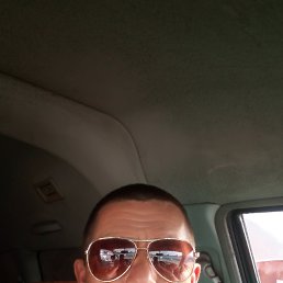 89147794753�������, ���������, 59 ���