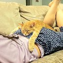 ���� �������, �����, 40 ��� - ��������� 4 ���� 2019 � ������ ���� ����������