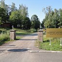  , -, 65  -  10  2019    