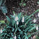 4 ������� ����������� � �����! �� ������� ����� 2019�