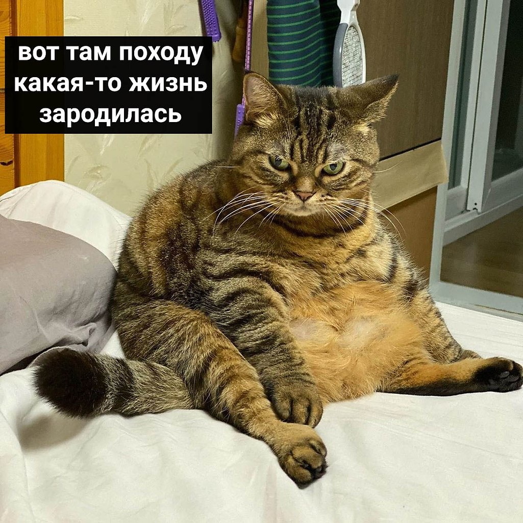       : - 4