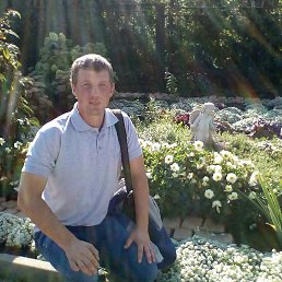 ����, ������, 38 ���