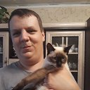 ���� �����, ����������, 37 ��� - ��������� 29 �������� 2019 � ������ �� ����200�