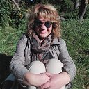 ���� �������, �����������, 62 ���� - ��������� 8 ������ 2019 � ������ ���� ����������