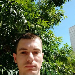 ������, ������, 37 ���