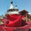  , , 50  -  1  2019   1 2019