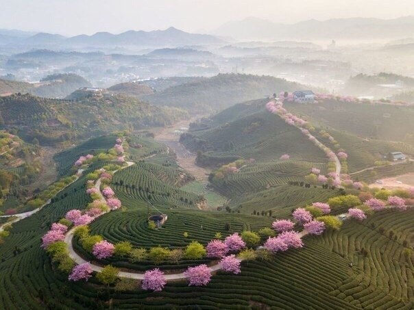 China