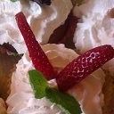 ���� �������, �����-���������, 53 ���� - ��������� 5 ���� 2019 � ������ ������ ��������