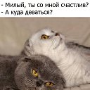 ���� ��������, ������, 69 ��� - ��������� 6 ������� 2019 � ������ ������ ��������