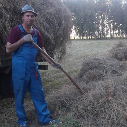 �������, ����