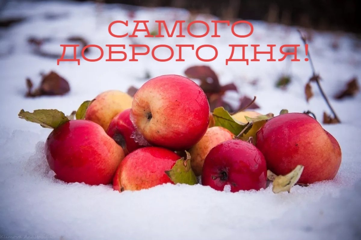   ,    . - 9  2019  23:39