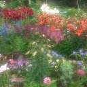 ���� �������, ������, 68 ��� - ��������� 17 ���� 2019 � ������ �2019�