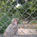 ���� Dinesh, ����, 53 ���� - ��������� 12 ������ 2019 � ������ ���� ����������