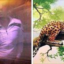 ���� �rat, ����, 36 ��� - ��������� 25 ������ 2019 � ������ ���� ����������