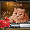 ���� ��������, ������, 69 ��� - ��������� 6 ������� 2019 � ������ ������ ��������