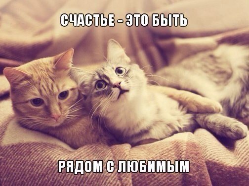    - 29  2019  03:44