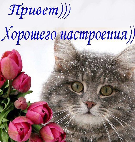   ,    . - 15  2019  19:49