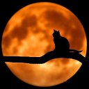 ���� ^ L^, ���� - ��������� 24 ������� 2019 � ������ ������ ��������