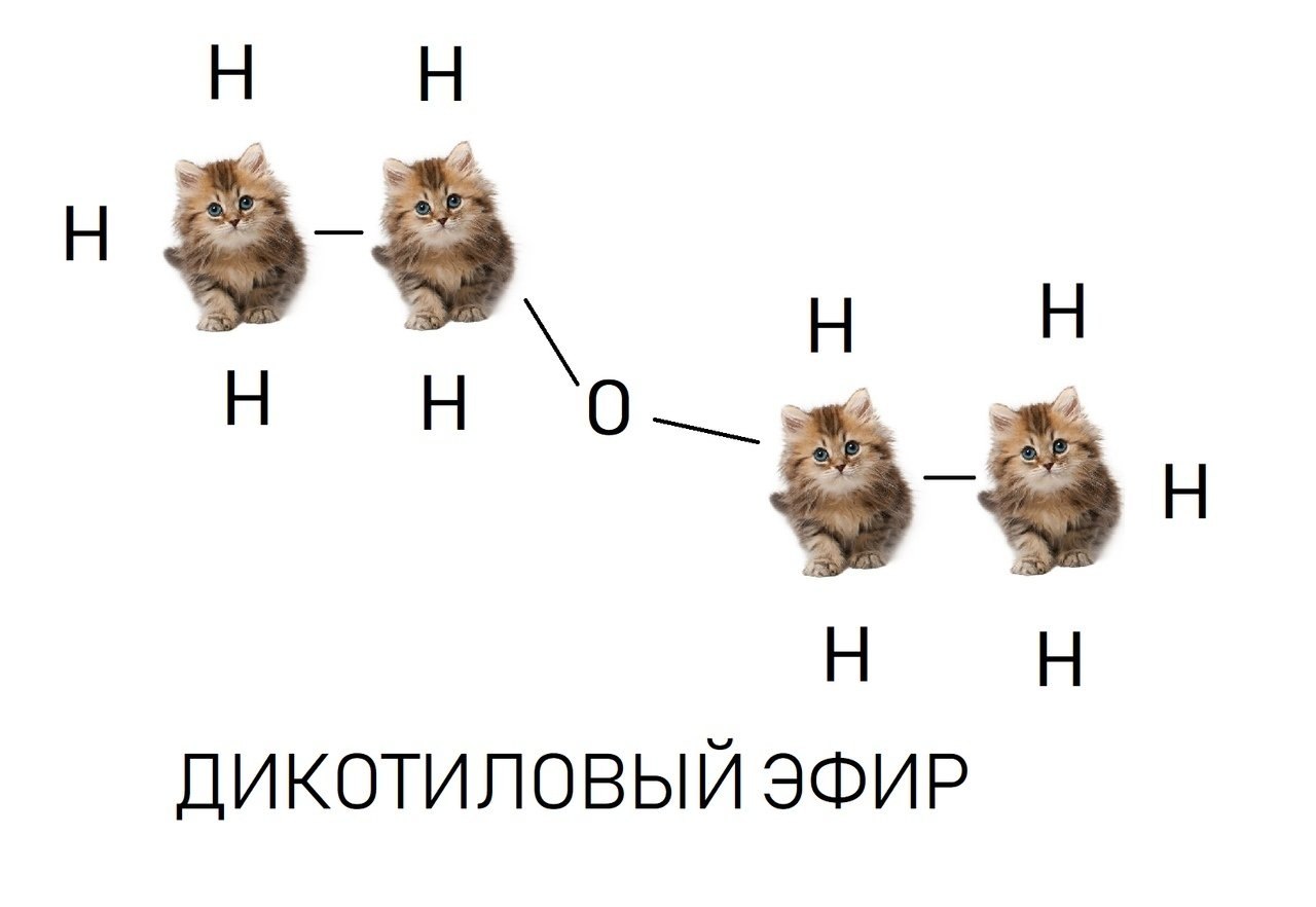   - 9