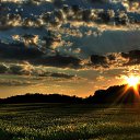 ���� ������, �����-���������, 65 ��� - ��������� 12 ��� 2019 � ������ ���� ����������